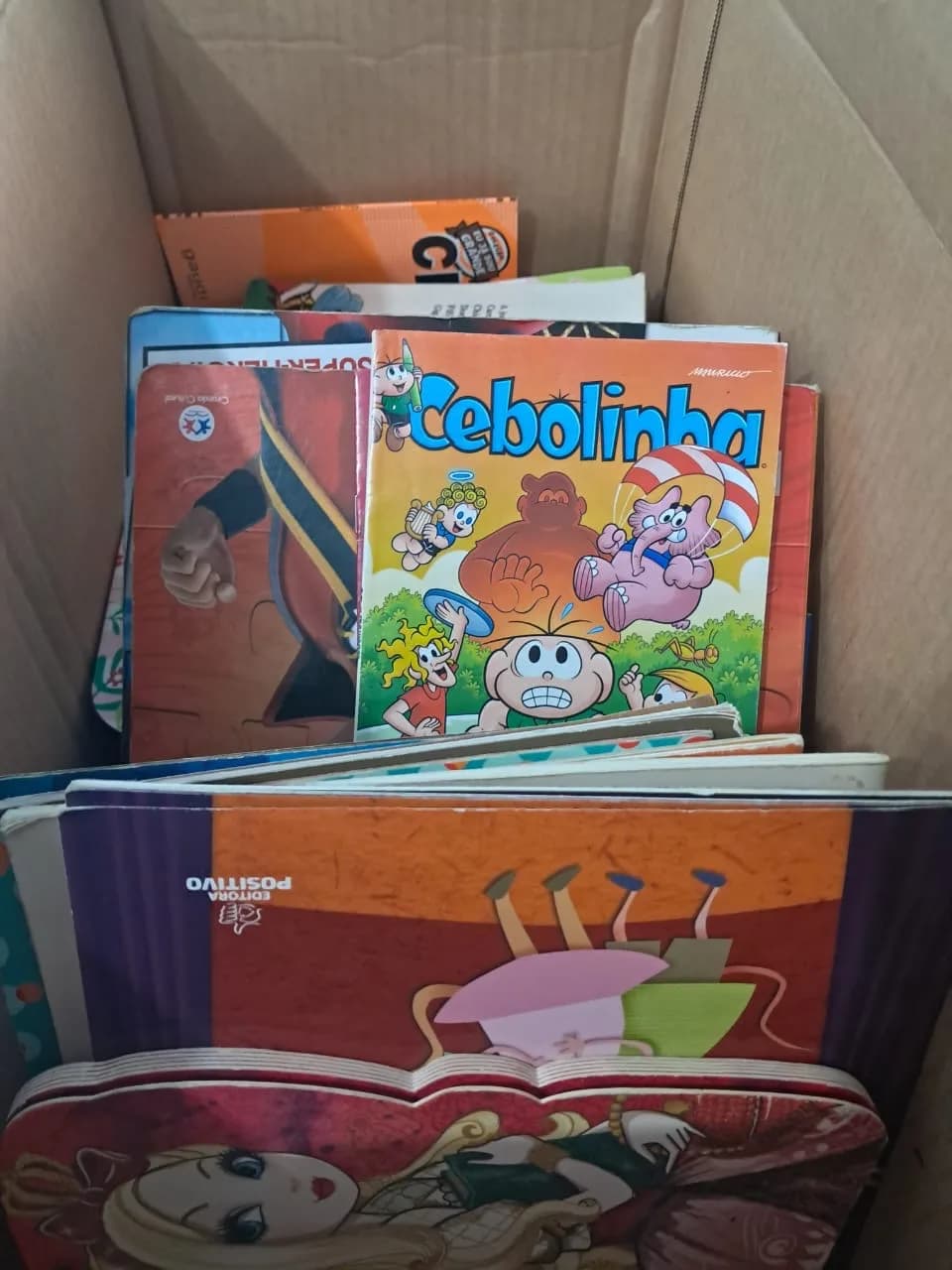 Gibis e livros infantis doados pelos escoteiros, na caixa de doação