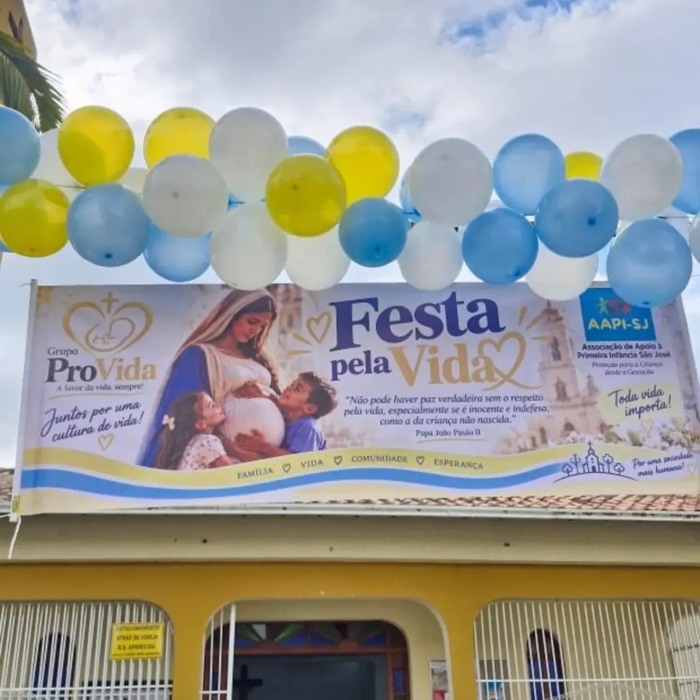 Capa do álbum 1ª Festa pela Vida