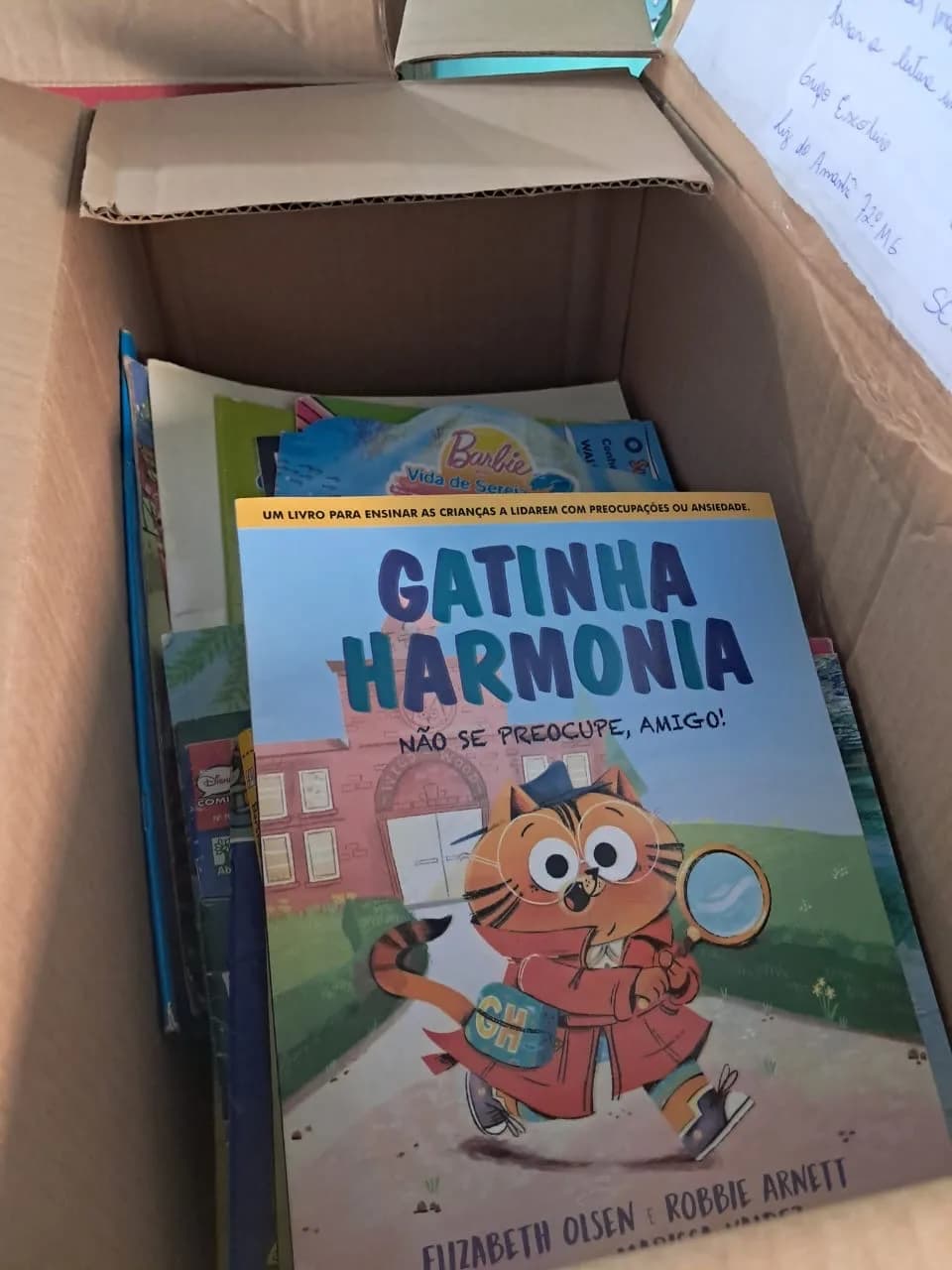 Livro infantil "Gatinha Harmonia" entre os livros doados pelos escoteiros